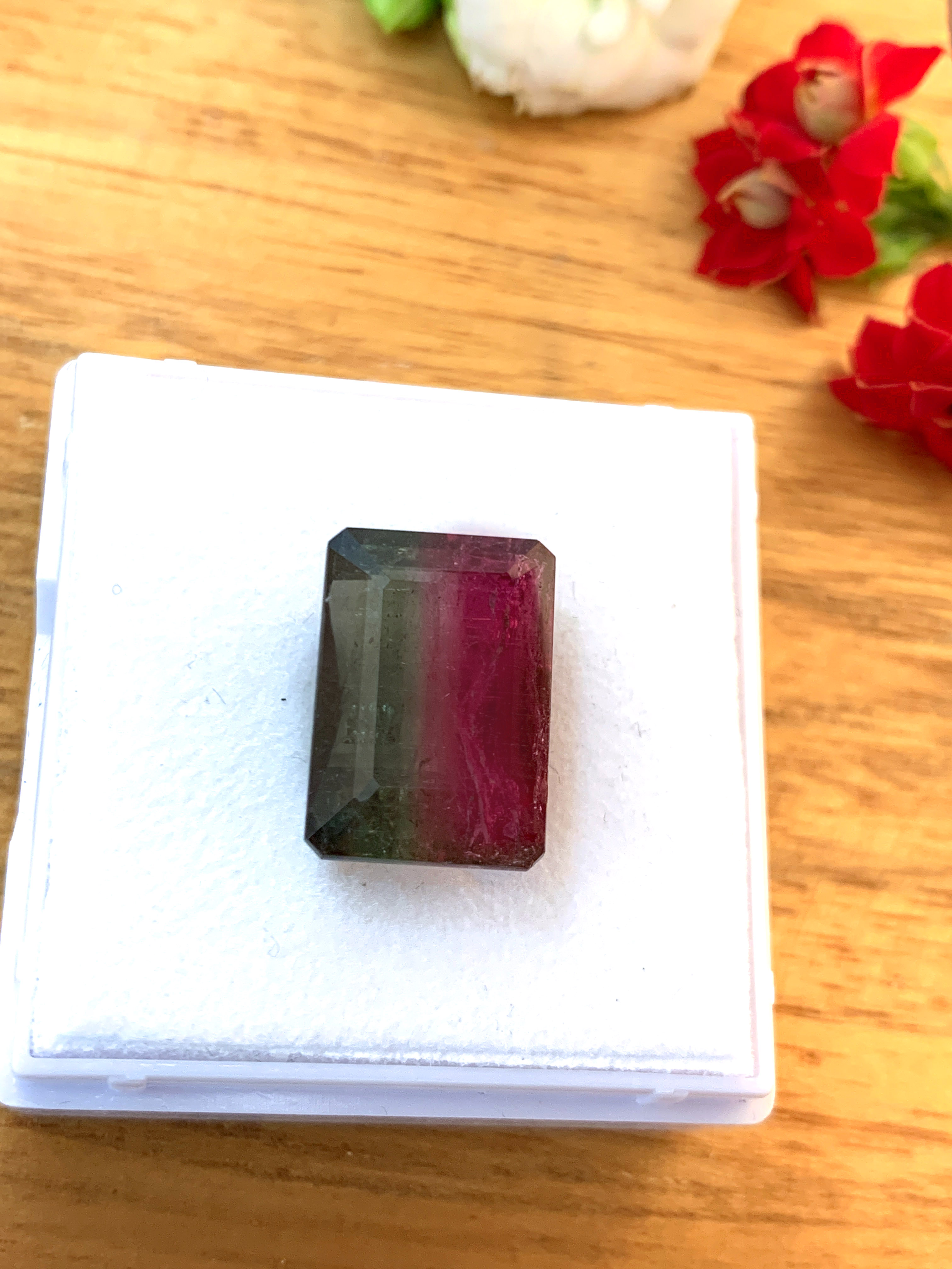 zweifarbiger-turmalin-bicolour-tourmaline-edelstein-gem-kaufen-e00050-2 Zweifarbiger Turmalin