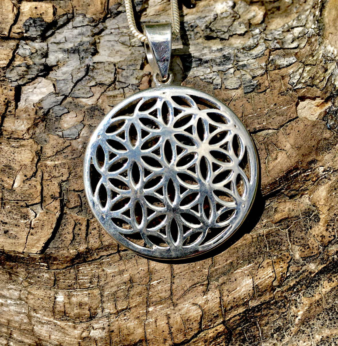 IMG_3393 Blume des Lebens - 925 Silber