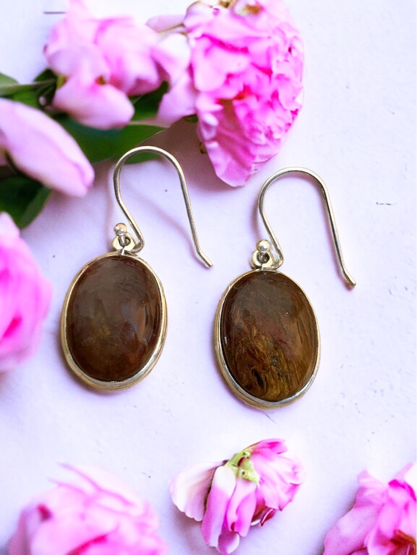 Photoroom_20240316_171446 Pietersite Earrings