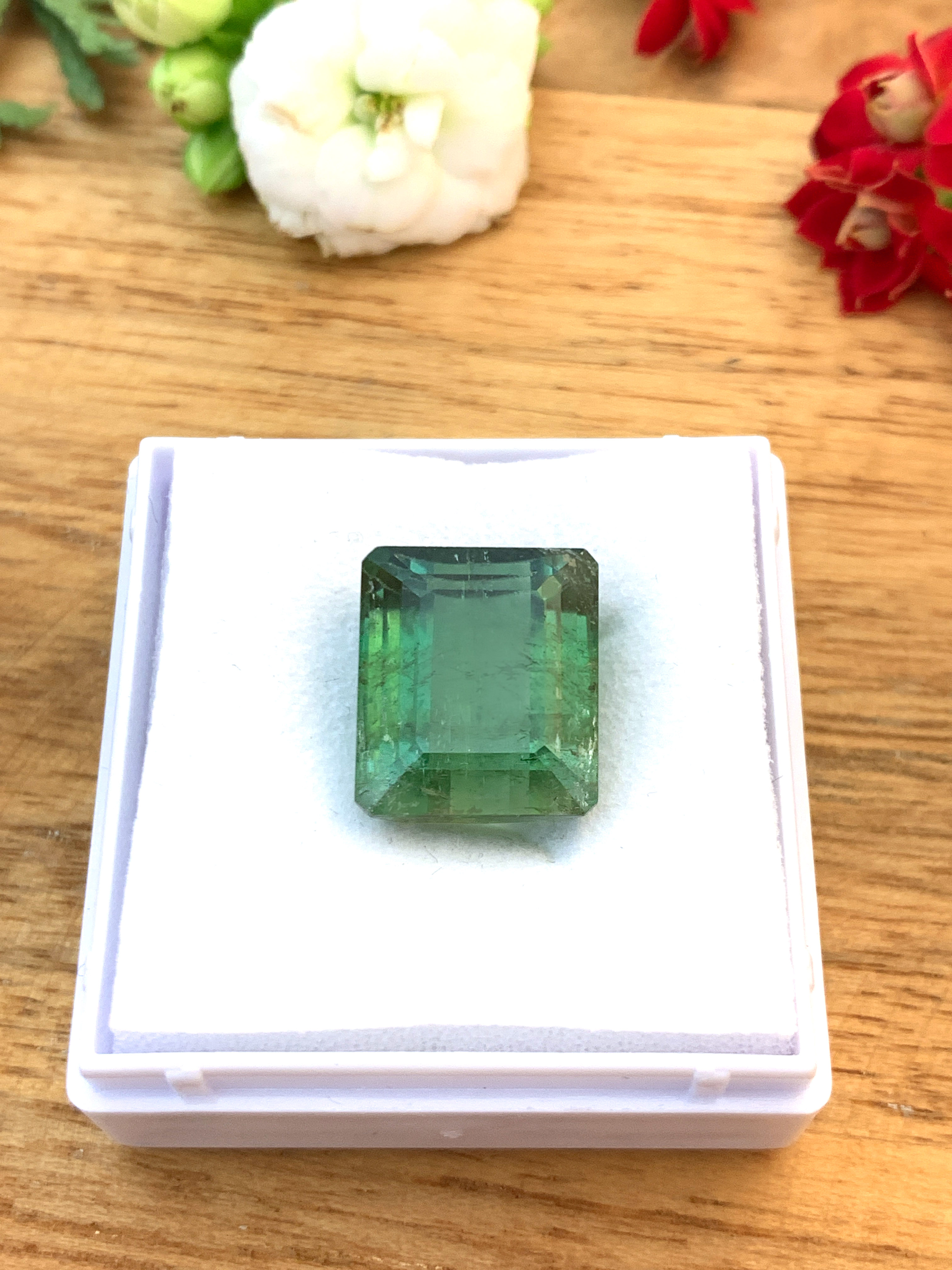 turmaline-tourmaline-edelsteine-loose-steine-kaufen-gem-e00025-2 Grüner Turmalin